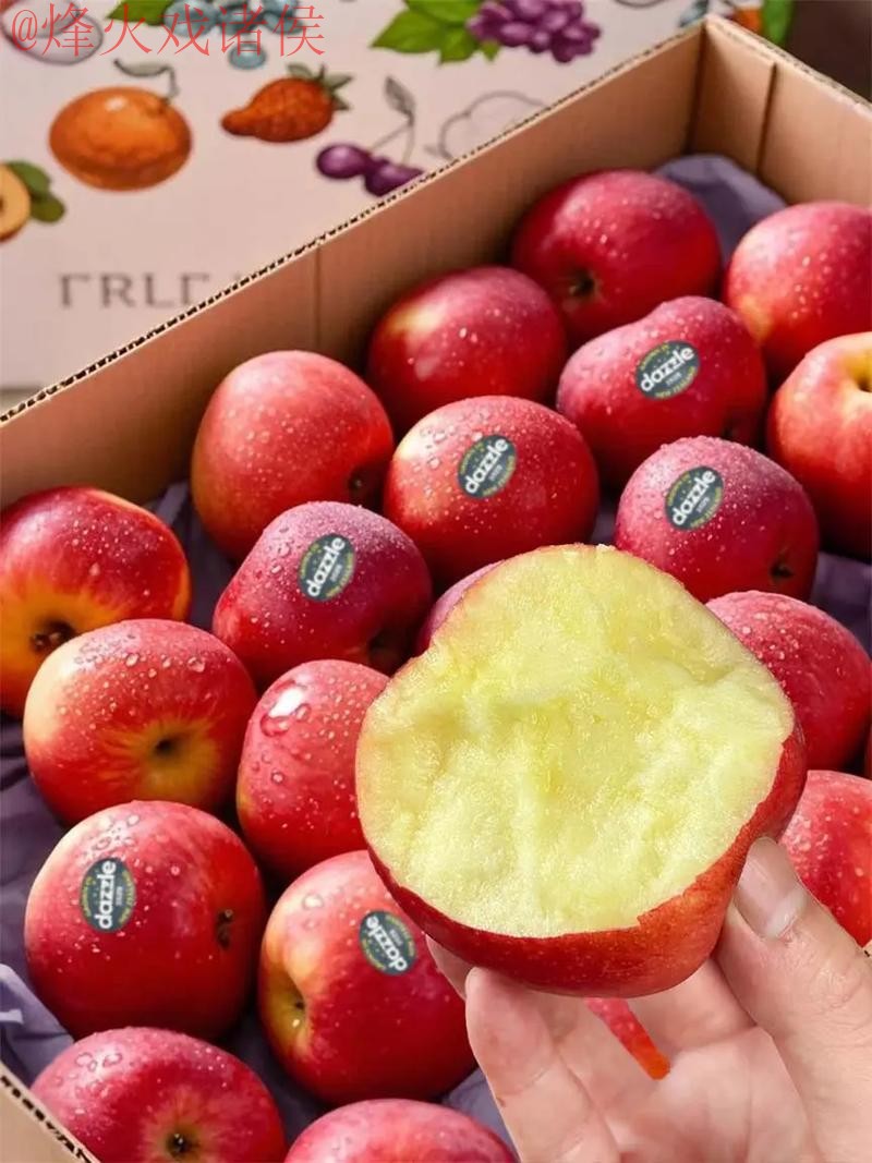 2026世界杯滚球苹果最佳